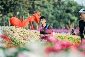 BIB: 
                            <button type="button" onclick="openModal(25932209)" class="btn btn-primary btn-sm float-right btn-popup" data-toggle="modal" data-target=".modal-high-quality">
                        <i class="fas fa-shopping-cart"></i> Add to Cart
                    </button>
                                            <button type="button" onclick="isThisMe(25932209, true)" class="btn btn-success btn-sm float-right btn-popup btn-isme hidden" data-toggle="tooltip" data-placement="bottom" title="นี่คือรูปของคุณใช่ไหม คลิกที่นี่เพื่อเอาเข้าอัลบั้ม">
                        <i class="fas fa-plus"></i> Add to album
                    </button>
                    <button type="button" onclick="isThisMe(25932209, false)" class="btn btn-warning btn-sm float-right btn-popup btn-isnotme hidden">
                        <i class="fas fa-ban"></i> Remove from album
                    </button>